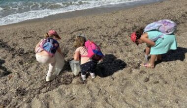 Au Pradet, une action de sensibilisation pour un littoral plus propre