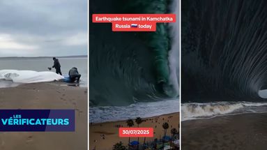 VÉRIF' - Tsunami dans le Pacifique : de fausses images sensationnalistes s'invitent sur les réseaux sociaux