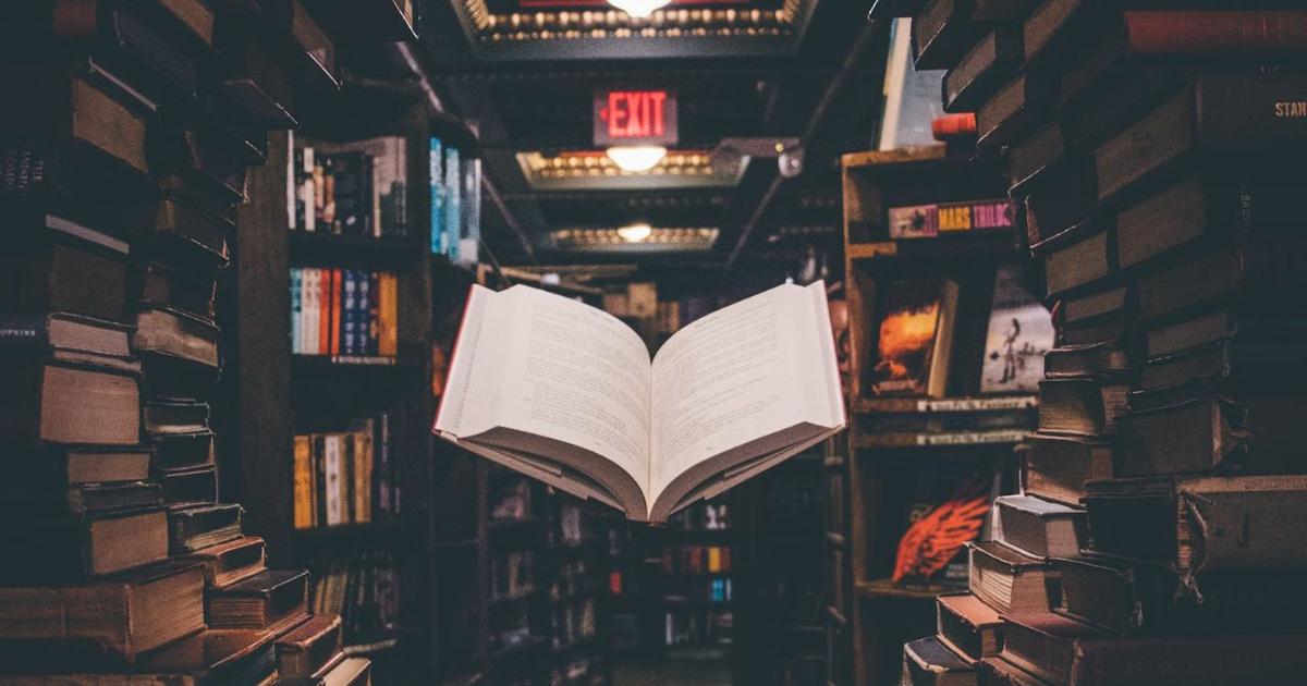Après la saga La Femme de Ménage, ce livre de Freida McFadden est l’un des plus populaires du moment