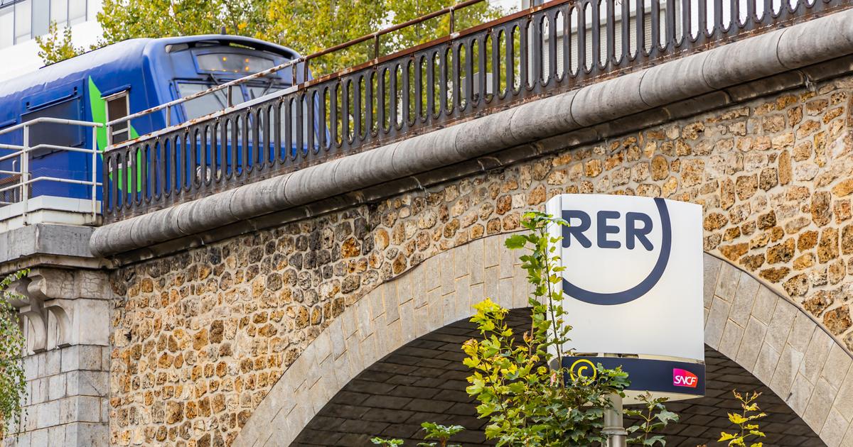un homme de 19 ans condamné pour avoir arraché violemment le collier d’une femme de 91 ans le RER B