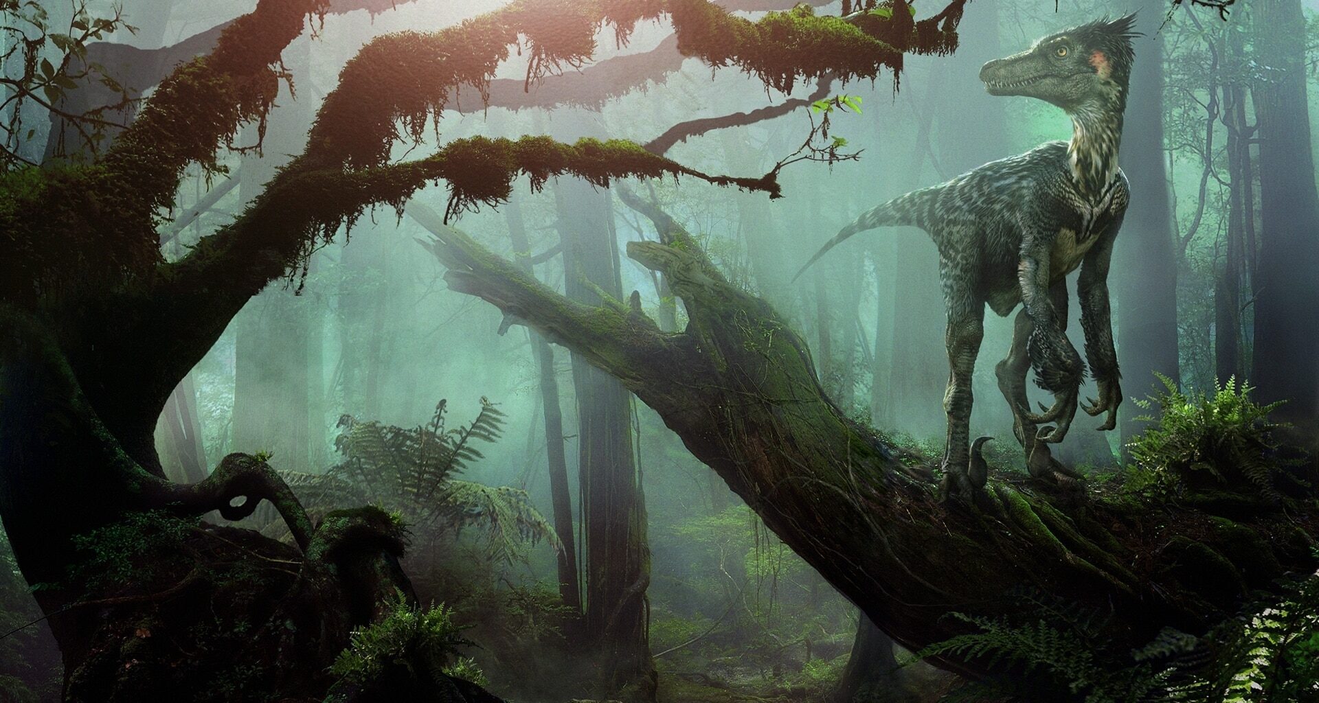 dinosaures vélociraptor