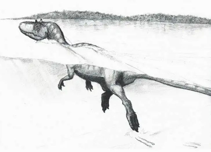 Un dessin de théropode nageant sur les rives d’un lac à Cameros, en Espagne, au Crétacé.