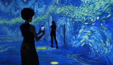 Après New York et Séoul, une exposition immersive unique dédiée à Van Gogh débarque à Strasbourg