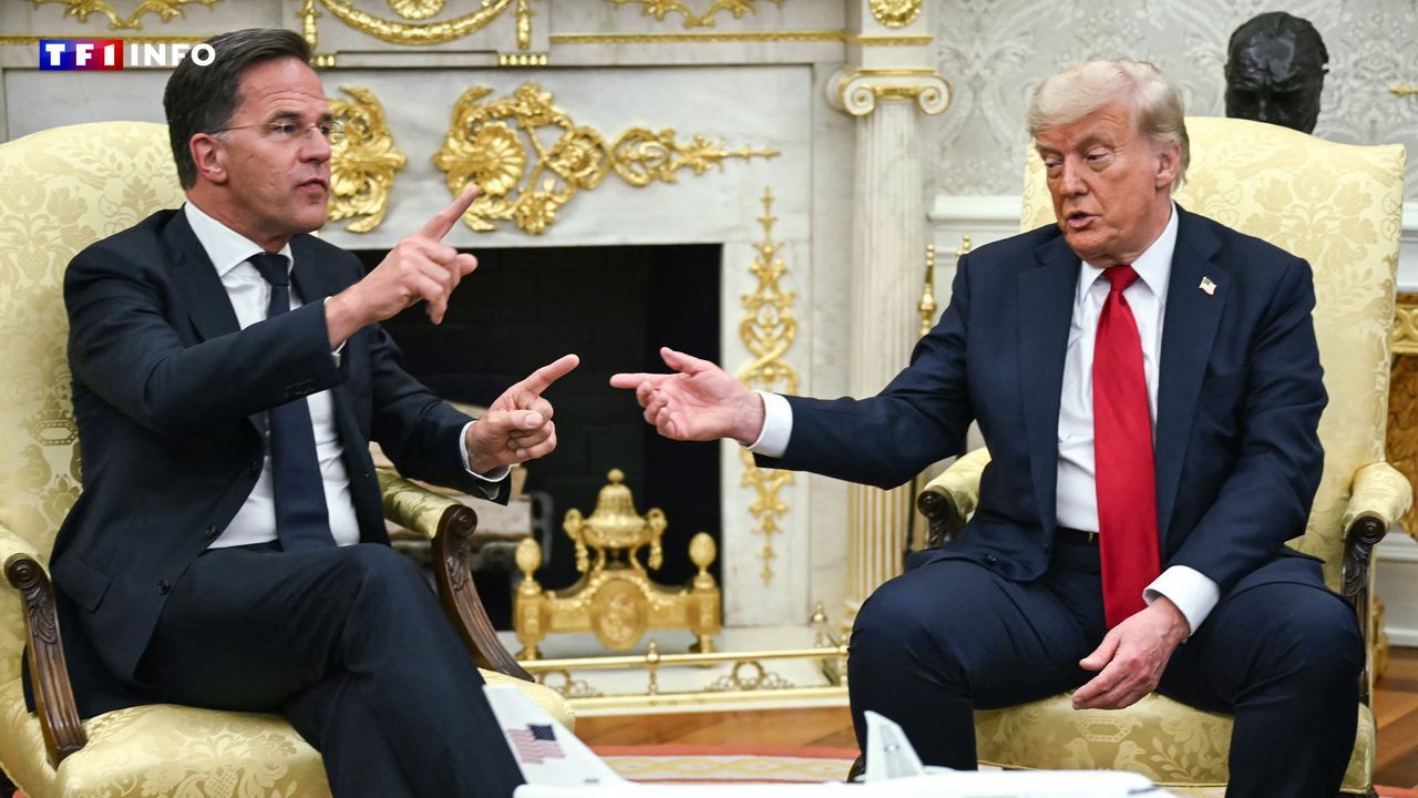 Ultimatum de 50 jours à la Russie, envoi d'armes à Kiev… "Déçu" par Poutine, Trump change de braquet sur l'Ukraine