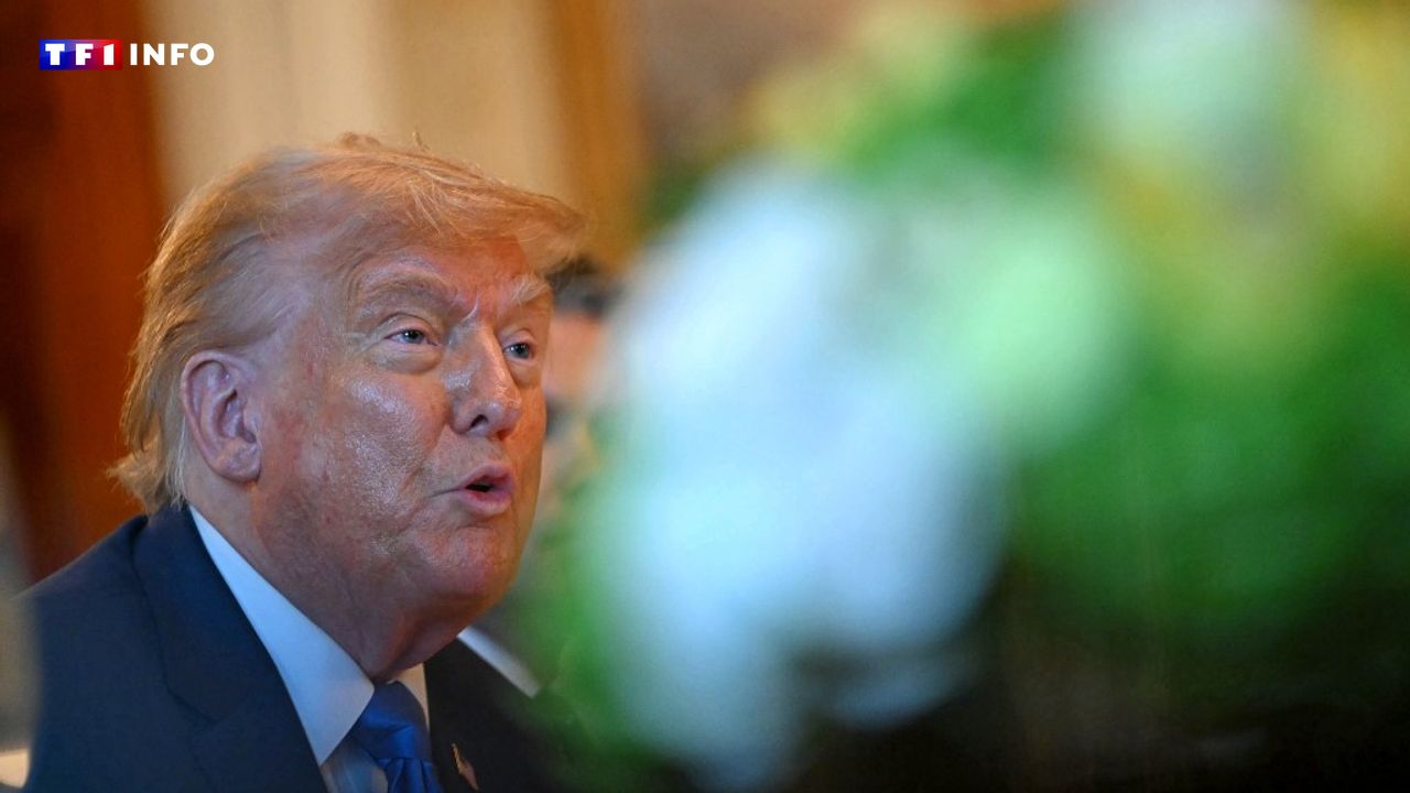 "Mécontent" contre Poutine, Trump va "envoyer plus d’armes défensives" à l'Ukraine