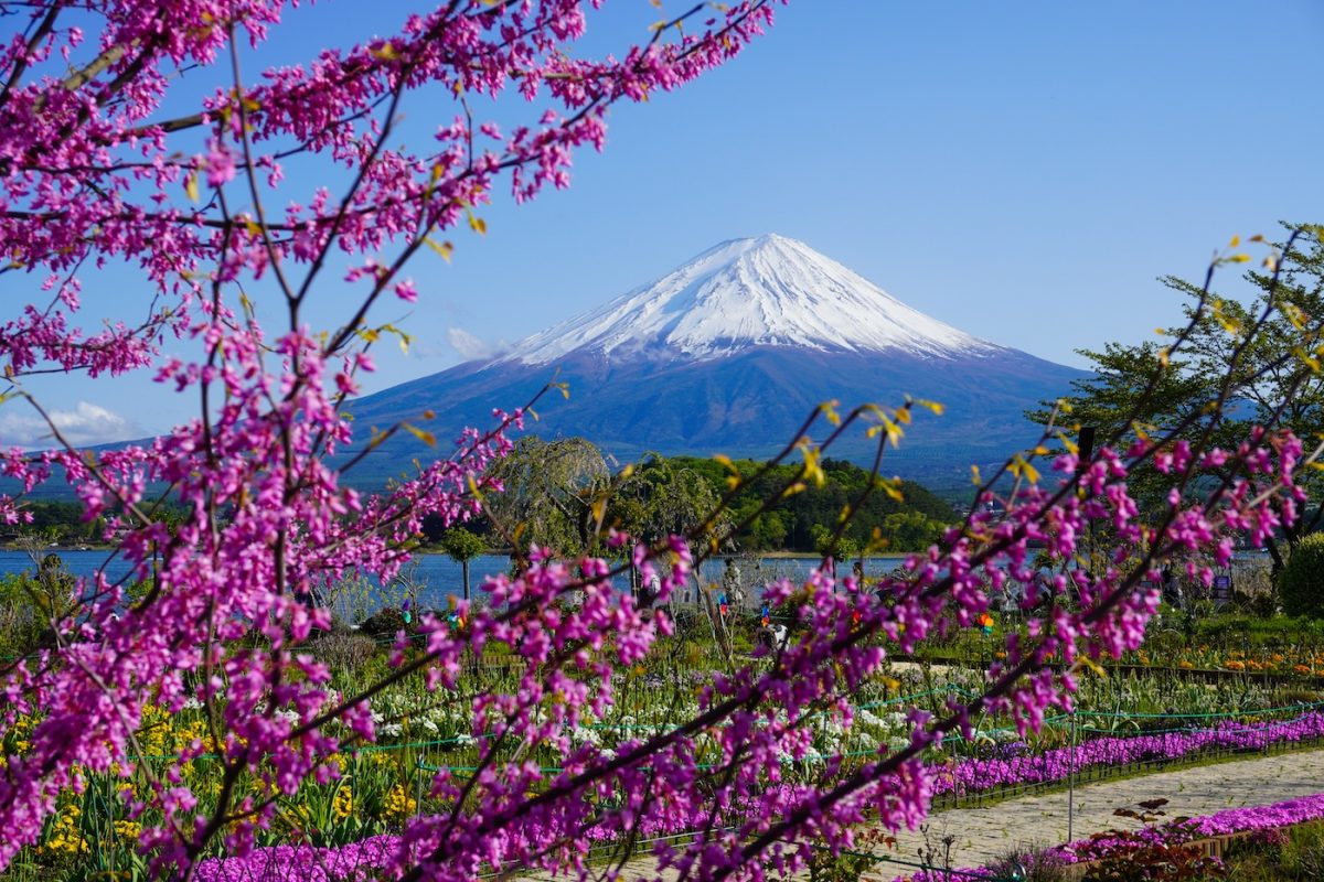 MONT FUJI JAPON