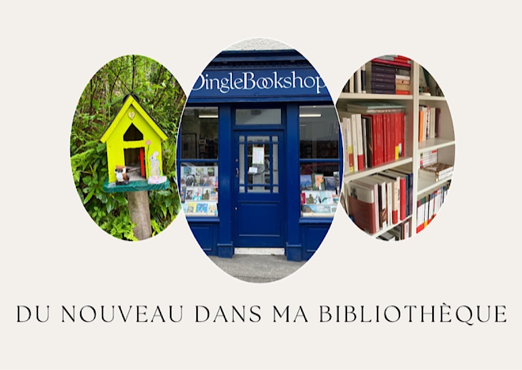 Du nouveau dans ma bibliothèque (23/25)