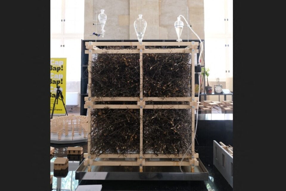 Le projet présenté à la Biennale d'architecture et de paysage à Versailles.