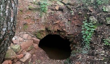 L’Écomusée du Gapeau découvre, par hasard, un four à briques du XVIIIe siècle à Solliès-Pont