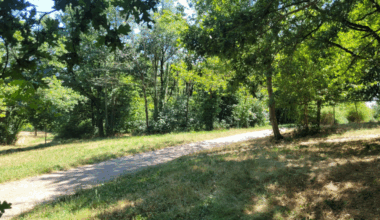 La Ville de Saint-Etienne a symboliquement lancé son plan biodiversité