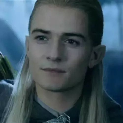 Les Elfes