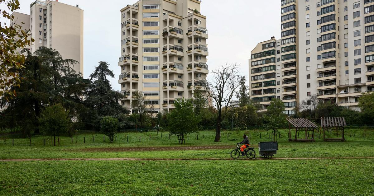 cinq points de deal démantelés en six mois dans le quartier du Tonkin par la nouvelle brigade spécialisée