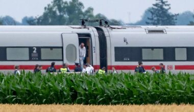 Un homme attaque et blesse les passagers d’un train