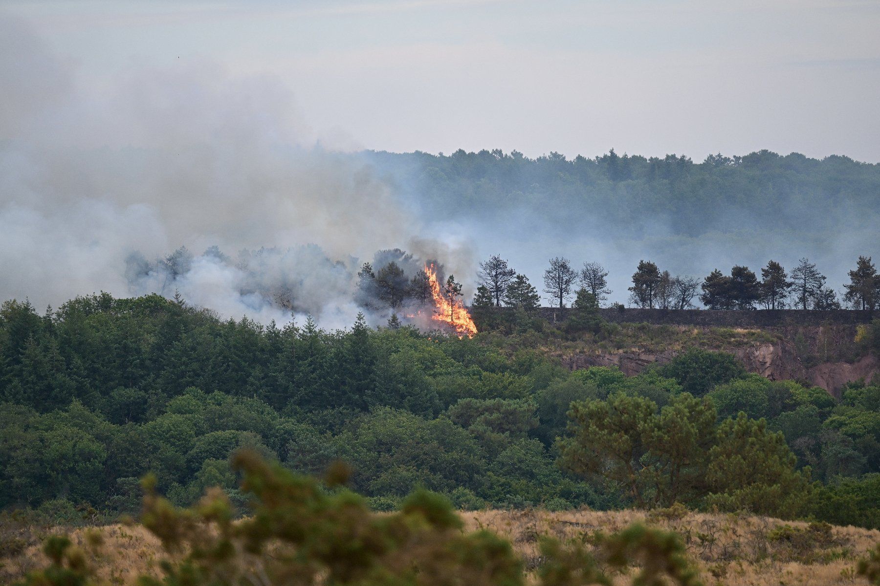 Un incendie dans la forêt de Brocéliande, le 17 juillet 2025 à Tréhorenteuc, dans le Morbihan