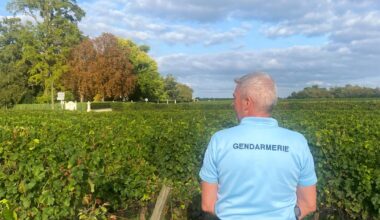 un homme interpellé après avoir tiré sur les gendarmes
