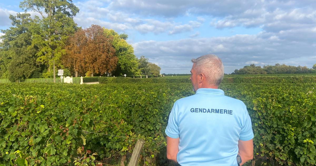 un homme interpellé après avoir tiré sur les gendarmes