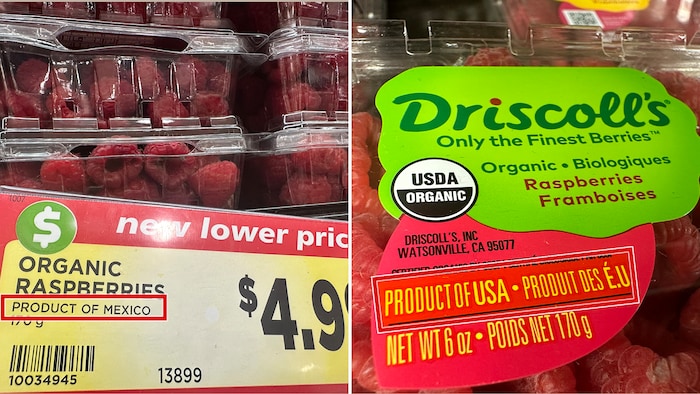 Des paquets de framboises en vente dans une épicerie Metro.