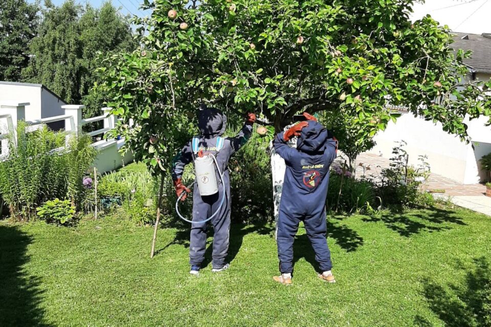 En pleine action.
=