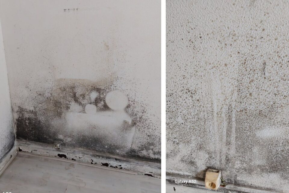 Gendarme dans l'est de la France, Nicolas nous a envoyé ces photos de son logement en caserne, maculé de moisissures.
