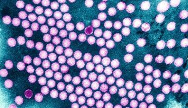 Pourquoi la polio est de retour