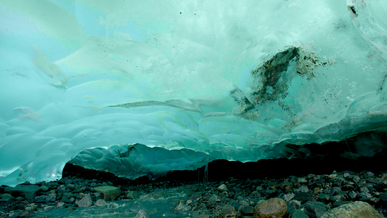 En Russie, la fonte d'un glacier révèle un incroyable cimetière préhistorique de baleines