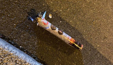 un adolescent interpellé après des tirs de mortier d’artifice sur la police