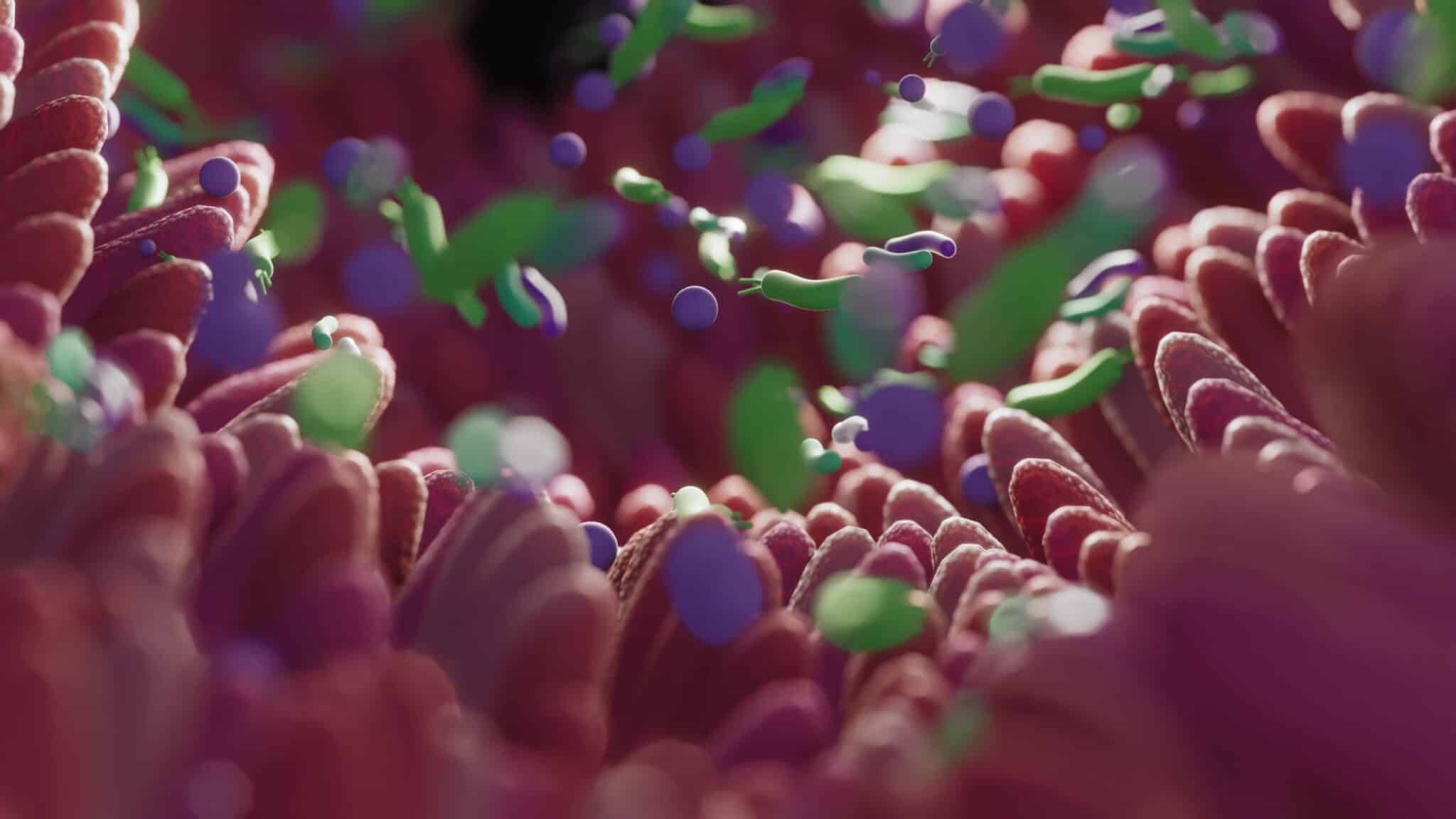 cancer microbiote