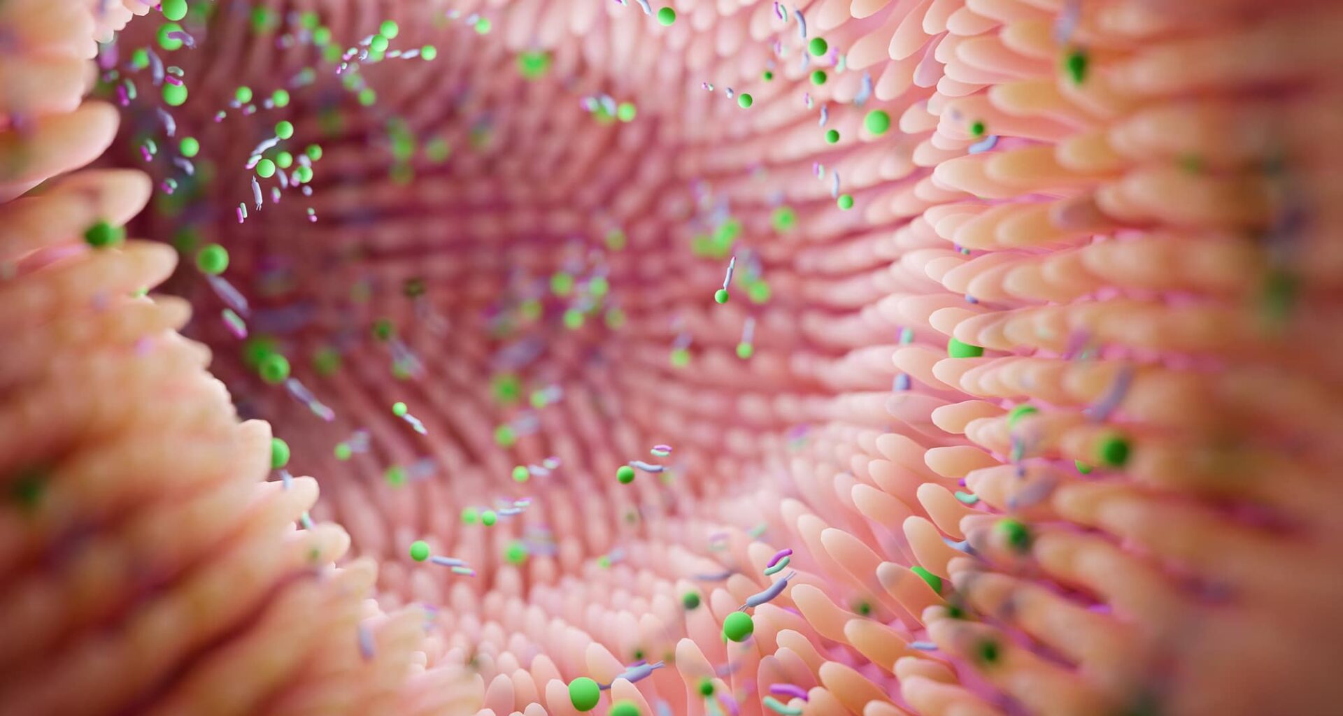 cancer microbiote