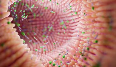 cancer microbiote