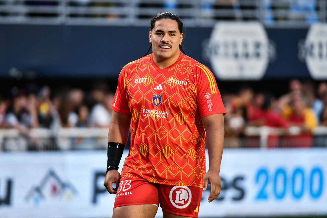 Perpignan, Castres, Toulouse... Où en est la reprise des clubs du Top 14 ?