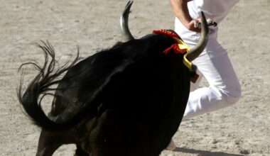 prestation peu brillante pour la 5e journée du Trophée 3M aux arènes du Crès