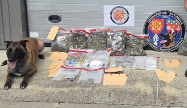 Près de Toulouse. Pris la main dans le sac, les dealers réservaient des surprises aux gendarmes