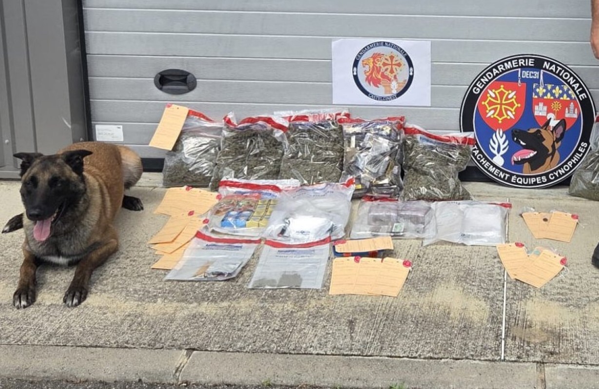 Près de Toulouse. Pris la main dans le sac, les dealers réservaient des surprises aux gendarmes