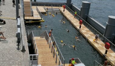 plus de 50 000 personnes ont nagé dans le fleuve
