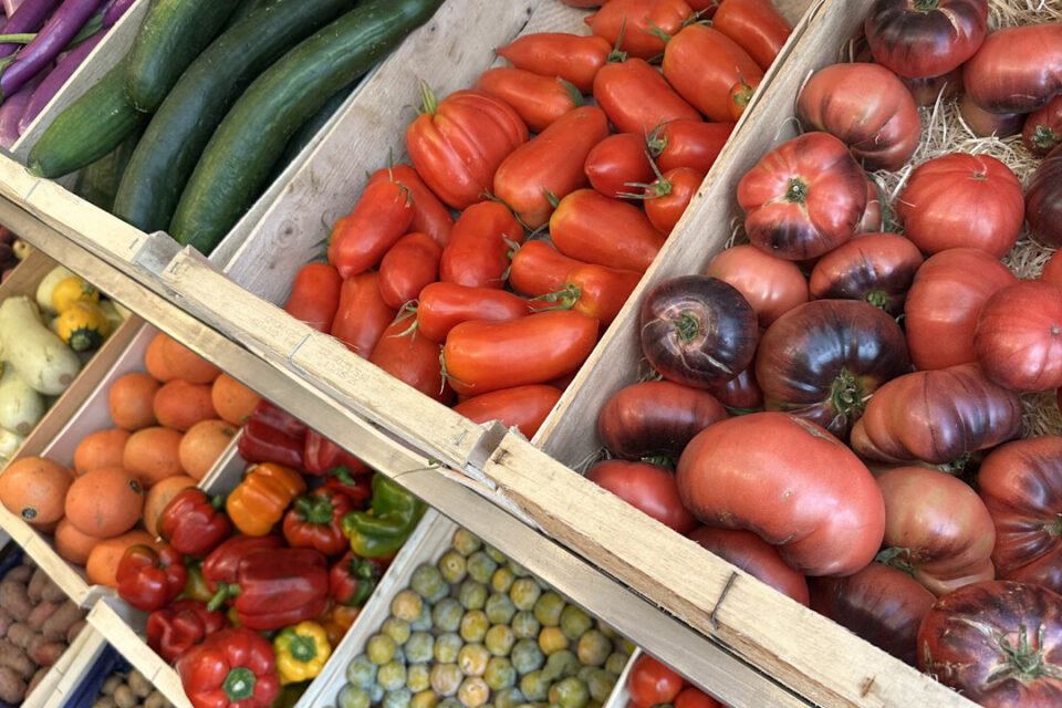 La rue Joffre prend un air de village grâce à la piétonnisation et l'ouverture de nouveaux commerces de proximité.