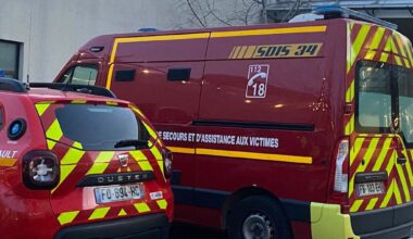 quatre baigneurs dont trois enfants mordus par un chien