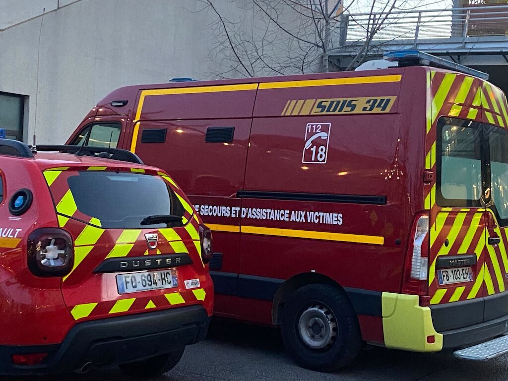 quatre baigneurs dont trois enfants mordus par un chien