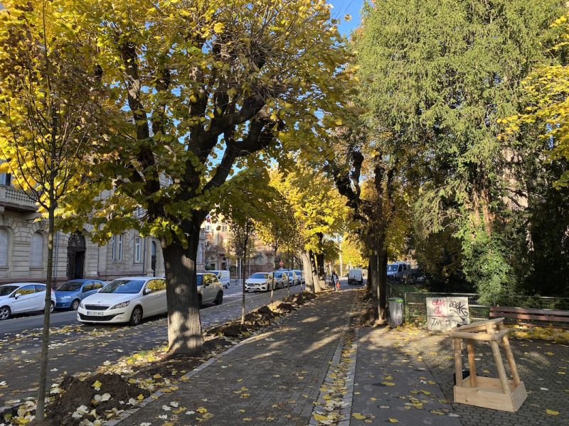 arbres quai koch