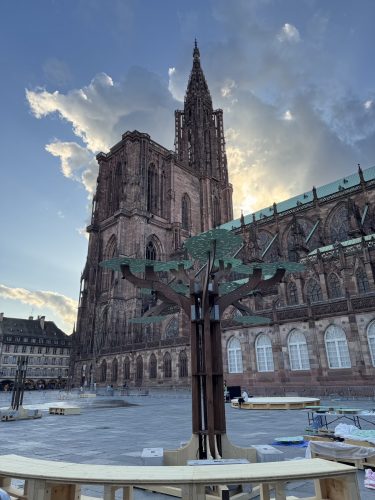 forêt immersive cathédrale