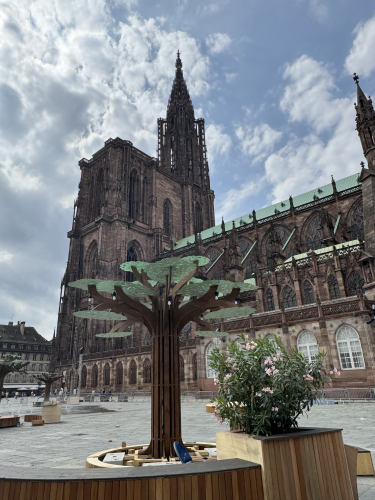 forêt cathédrale immersive