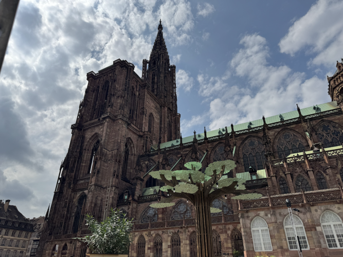 forêt cathédrale immersive