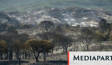 Incendies : dans l’Aude, les agriculteurs dans le piège de feux impossibles à fuir