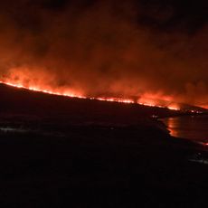 Les flammes ravagent la région d'Izmir en Tuquie