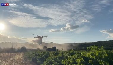 Un incendie près de Montpellier parcourt plus de 300 hectares, le feu fixé avant la nuit