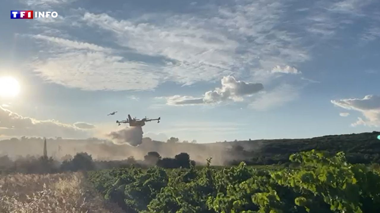 Un incendie près de Montpellier parcourt plus de 300 hectares, le feu fixé avant la nuit