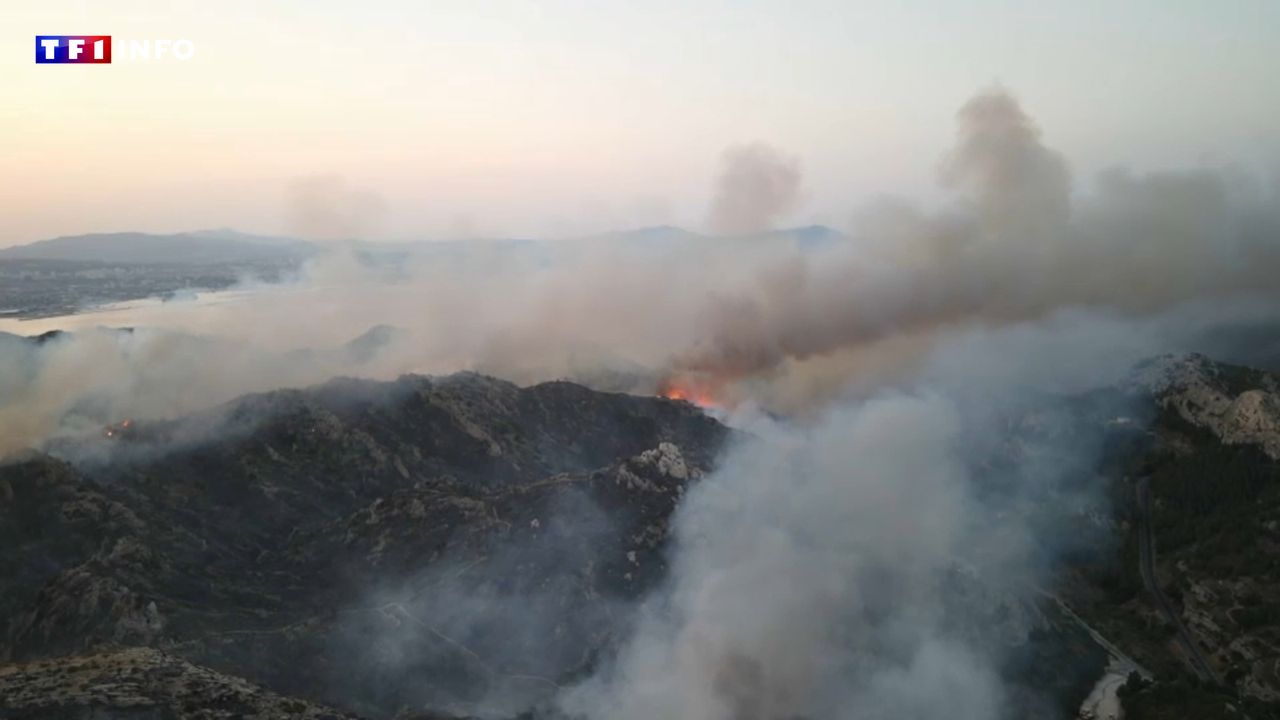 "Les flammes faisaient 10 mètres" : près de Marseille, des habitants surpris en pleine nuit par un important incendie
