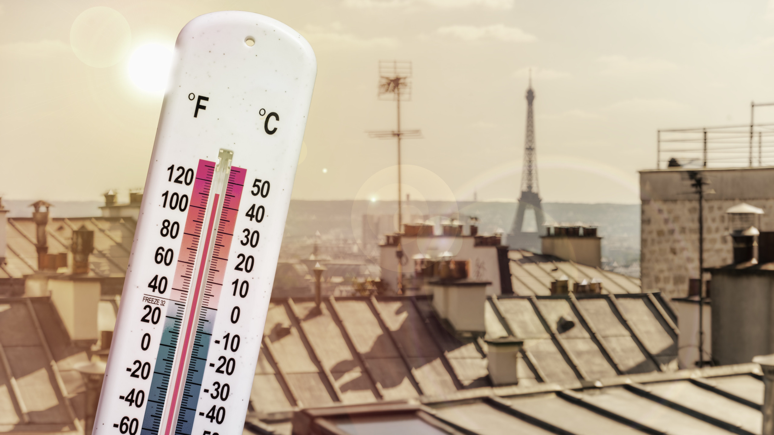 © Shutterstock - Météo-France place 16 départements en alerte rouge, dont l’Île-de-France. Mardi marquera le pic d’un épisode caniculaire d’une intensité exceptionnelle.