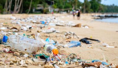 comment une bactérie est parvenue à changer du plastique en paracétamol ?