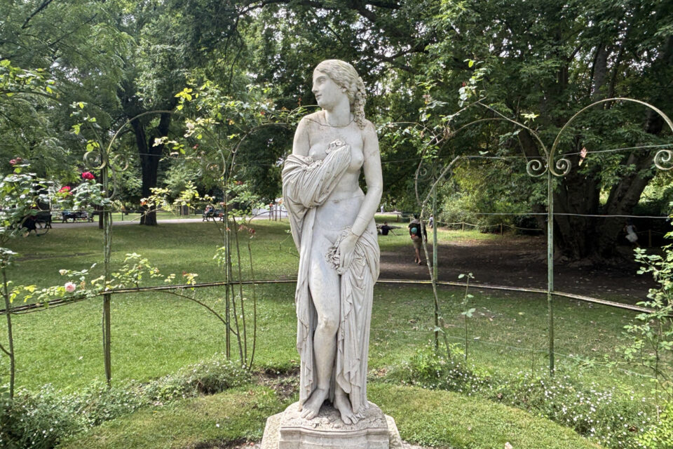 Chloris au jardin des Plantes de Toulouse.