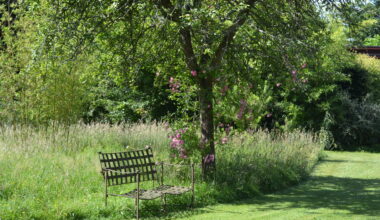 Comment je me suis retrouvé membre d'un jury évaluant un jardin secret près de Rouen